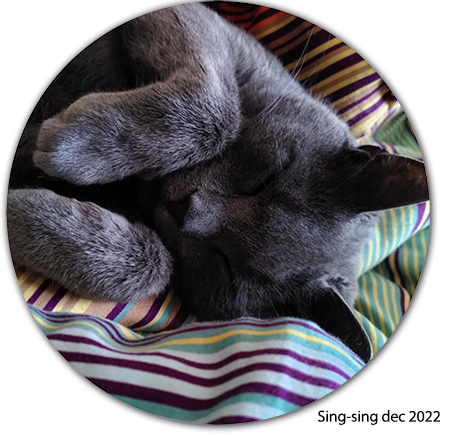 Katten Sing-sing sover