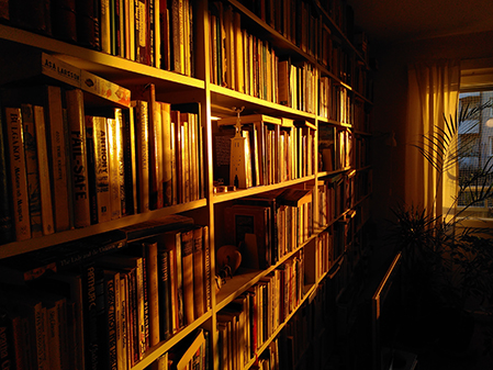 book cases in a golden light